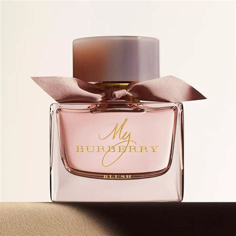 best burberry perfume for female|Burberry unisex perfume.